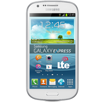 Réparations Galaxy Express (i8730)
