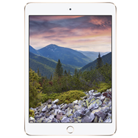 Réparations iPad Mini 3 (A1599/A1600)